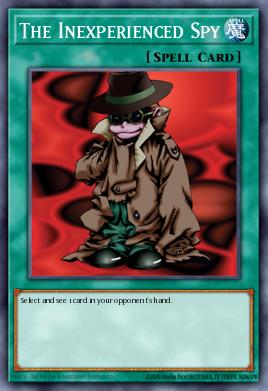 The Inexperienced Spy